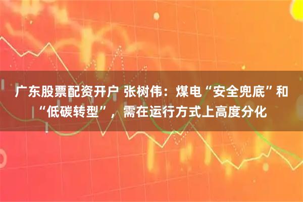 广东股票配资开户 张树伟：煤电“安全兜底”和“低碳转型”，需在运行方式上高度分化
