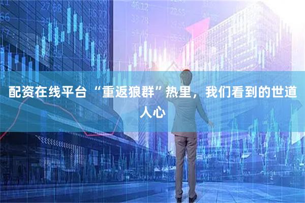 配资在线平台 “重返狼群”热里，我们看到的世道人心