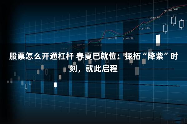 股票怎么开通杠杆 春夏已就位：探拓“降紫”时刻，就此启程