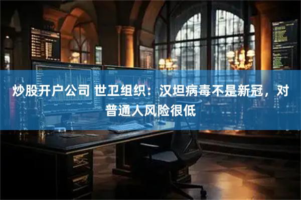 炒股开户公司 世卫组织：汉坦病毒不是新冠，对普通人风险很低