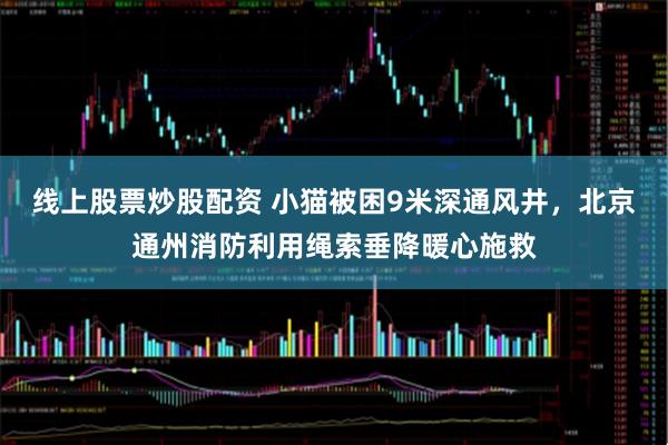 线上股票炒股配资 小猫被困9米深通风井,北京通州消防利用绳索垂降暖心施救